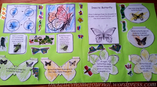 Butterfly Unit Study 